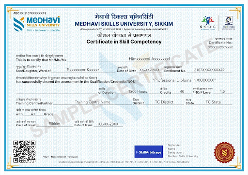 Sample Medhavi Skills University Certificate